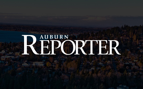 Domestic violence assault | Auburn police blotter