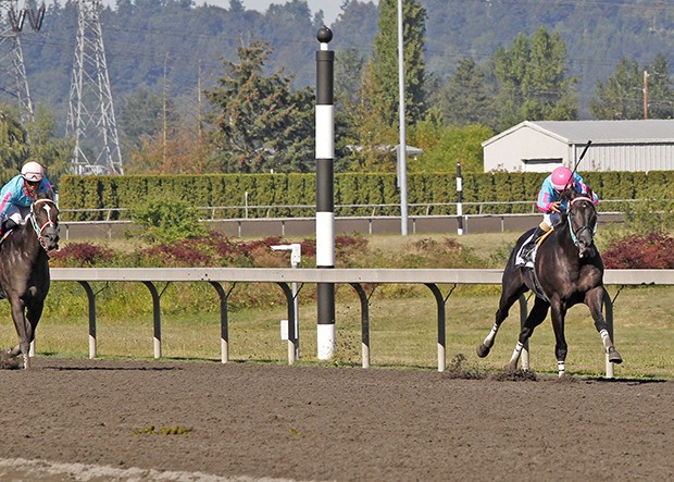 Noosito becomes a two-time Washington Cup winner with a four-length victory in the $50