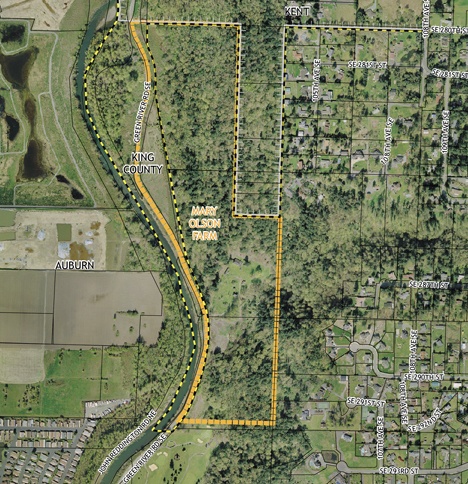 The map above shows the 6.5-acre parcel being incorporated into the city of Auburn in an effort to speed up the permitting and development of the Mary Olson Farm parking lot project. The area to be annexed is the small triangle piece east of Green River Road under the words ‘King County.’