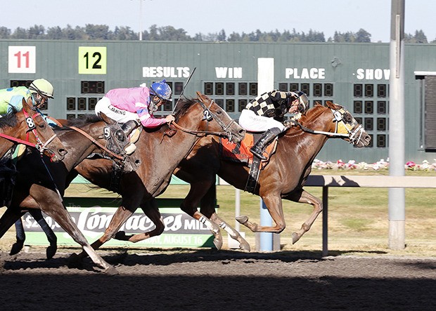 Thetrailerguy (No. 7) and Julien Couton surge to the wire in the $50
