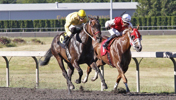 Polish Dollar (left with yellow silks) reels in Camp Granada to win Saturday's allowance feature race for 3-year-olds and up at Emerald Downs. Juan Gutierrez rode the winner for trainer Bob Meeking and owner Sharon Radke.