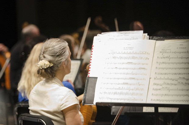 The Auburn Symphony Orchestra resumes its chamber concert series Jan. 25