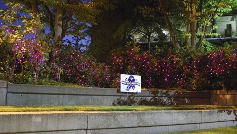 Purple lights were turned on around the City Hall Plaza and will remain on during the month of October – Domestic Violence Awareness Month.