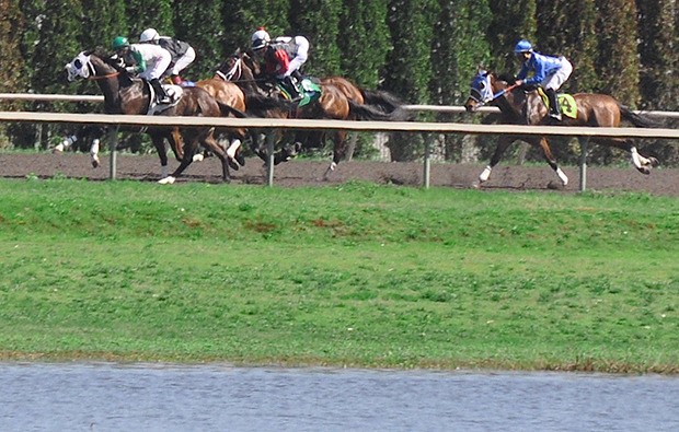 The field takes off in the first race on opening day at sun-splashed Emerald Downs. Forbidden Kee
