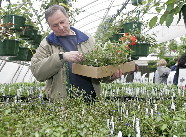 Tom Lanka checks his shopping list to make sure he does not miss anything at the Auburn High School plant sale.  Auburn High School's horticulture club has been working on this year's plant sales since January