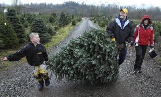 The Kostelecky family from Black Diamond are all smiles after cutting their Christmas tree at Honeytree Farm. From the left are: Creo
