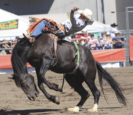 The Puyallup Fair is hosting the Justin Boots Rodeo Playoffs of the Wrangler Million Dollar Tour on Friday