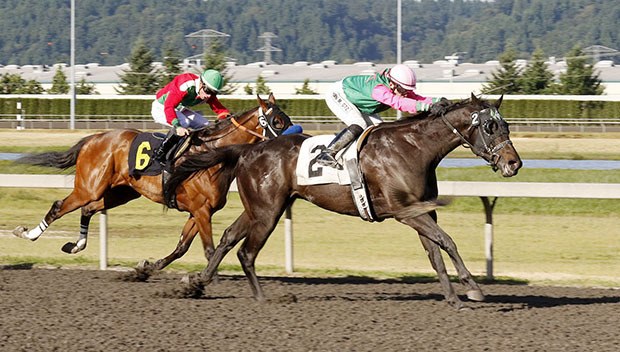 Grinder Sparksaglo draws clear for a 3 1/4-length victory Saturday in the $21