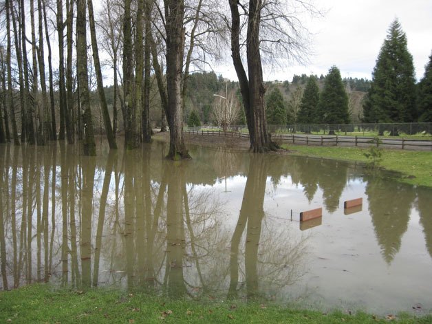 The swollen Green River weeps into Auburn's Isaac Evans Park along the Green Valley Road. The river ran high and swift as crews walked the banks to inspect levees. No significant flooding occurred during the heavy weekend rain.
