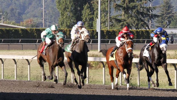 Oldtimers Vision (second from left with white blinkers) gets the victory after Dark Brago (second from right