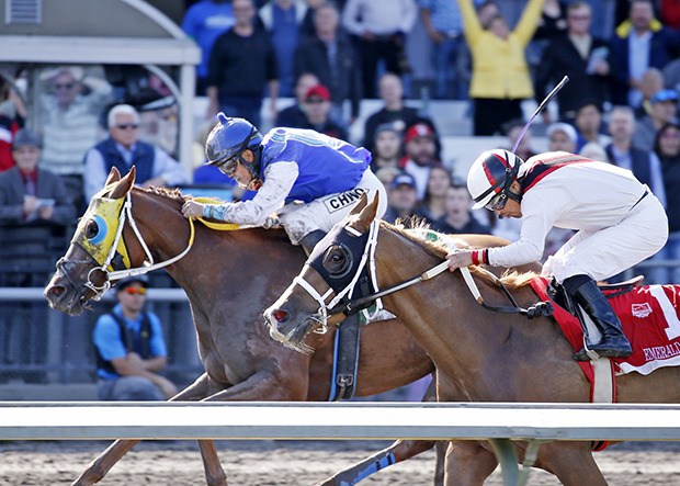 Princess Katie and jockey Leslie Mawing (blue silks) edge My Heart Goes on in the $50