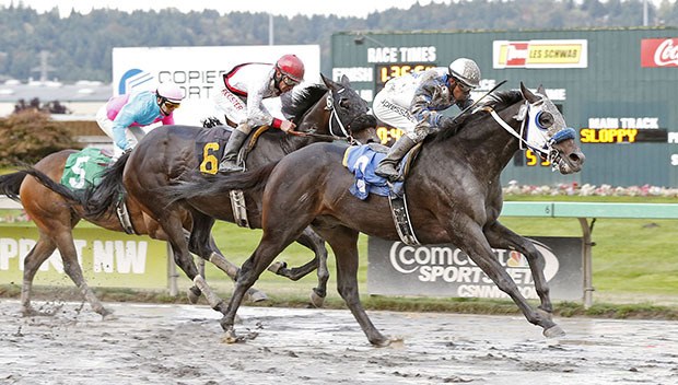 Its Allabout Jerry (No. 3) and Leonel Camacho-Flores prevail in the $25