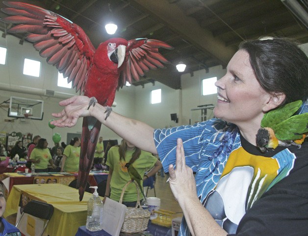 Debbie 'Parrot Lady' Goodrich poses her parrot Oly at the Auburn Valley YMCA Healthy Kids Day open house last year. The 'Parrot Lady' returns for the April 16 event at the Y.