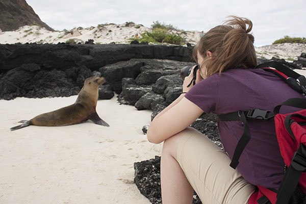 Katelyn Cooper photographs a seal on the Galapagos Islands.