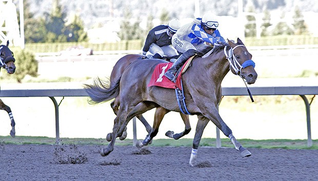 Dare Me Devil and jockey David G. Lopez prevail in the $18