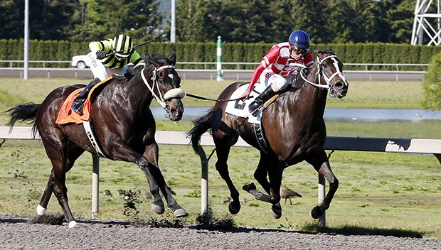 Arrom Bear (No. 2 inside) overtakes Scat Daddybaby and prevails in Saturday's $20