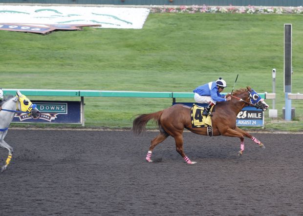 Chicks Special Angel and jockey Eddie Aceves dominate the Bank of America Emerald Downs Championship Challenge for older Quarter Horses.A  6-year-old Oregon-bred trained by Juan Sanguino and owned by Miguel Sanguino