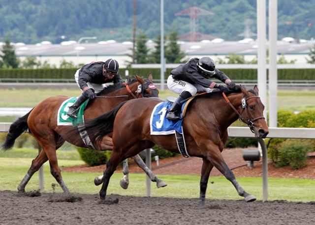 Stopshoppingdebbie (No. 3) and jockey Rocco Bowen score a 1½-length victory over Goin to the Window in the $50