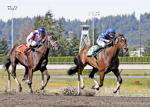 O B Harbor and jockey Jose Zunino are victorious in the $50