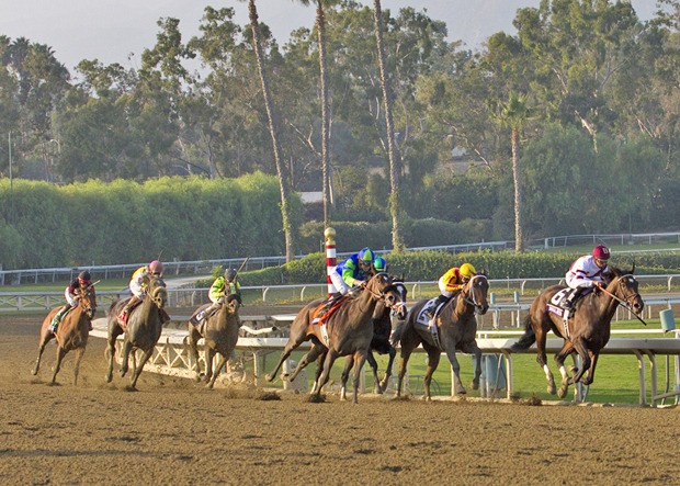Royal Delta leads the field into the stretch in the $2 million Breeders' Cup Ladies Classic last Friday. Class Included is third from the rear