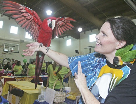 Debbie “Parrot Lady” Goodrich presents Oly during a demonstration at the Auburn Valley YMCA Healthy Kids Day open house last Saturday. The YMCA invited kids and families from the community to participate in the event