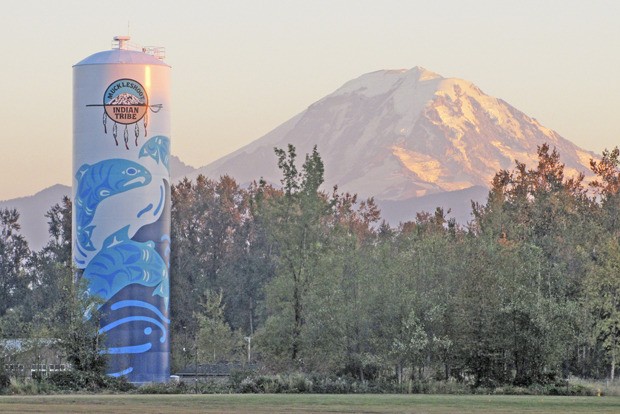 Brothers and artists Rolf and Peter Goetzinger transformed a 120-foot tall Muckleshoot Tribe water tank into beautiful public art. The tank sits in a wooded area north of State Route 164