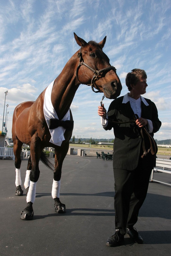 Chinook Pass at Emerald Downs.