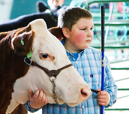 The Northwest Junior Livestock Show is a part of the fun and tradition at the Washington State Spring Fair.