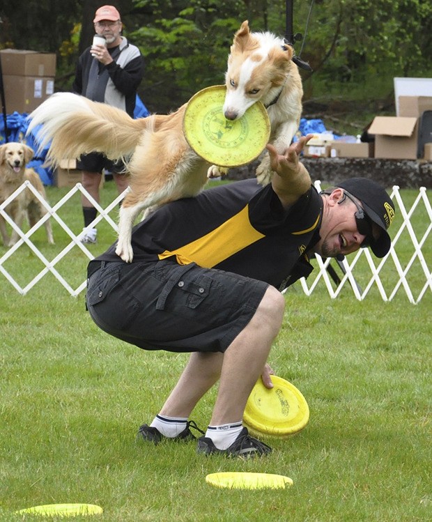 JD Platt of the K9 Kings Flying Dog Show performs a trick with Icicle during Petpalooza at Game Farm Park last Saturday.