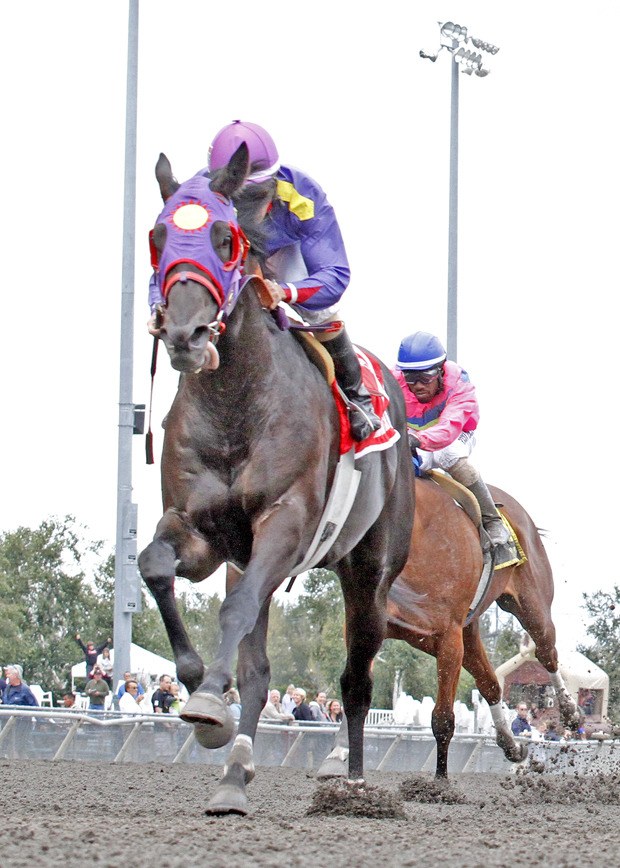 Music of My Soul is one of the favorites Sunday in the $65