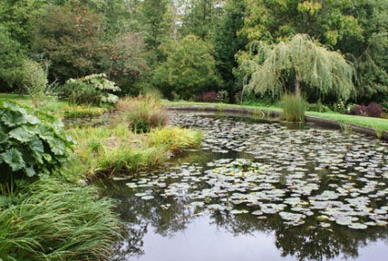 Soos Creek Botanical Garden