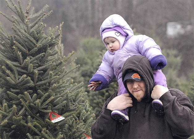 There are plenty of Auburn-area Christmas tree farms to choose from this holiday season.