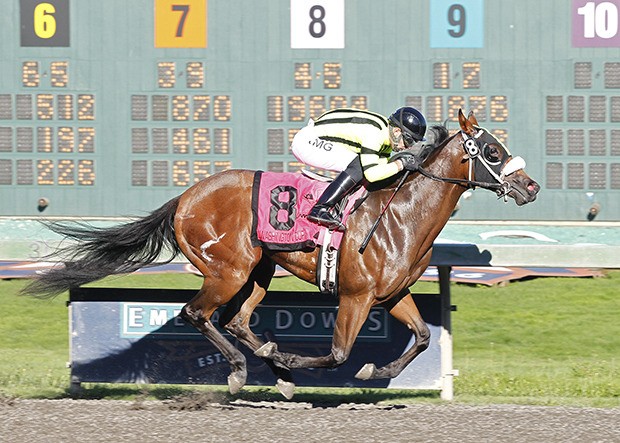 Mike and Amy Feuerborn's speedy Chu and You