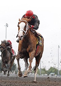 Barkley has been on a tear this season.