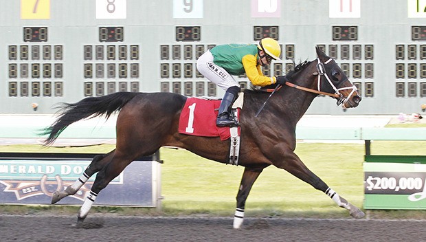 Calculated Chaos prevails by 3 1/4 lengths to become the meet's first two-time winner. Juan Gutierrez rode the winner for trainer Jeff Metz and owners Hilton Stables and Gary McNeil.