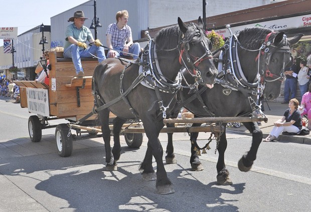 Auburn-area calendar of events | Aug. 15 | Auburn Reporter