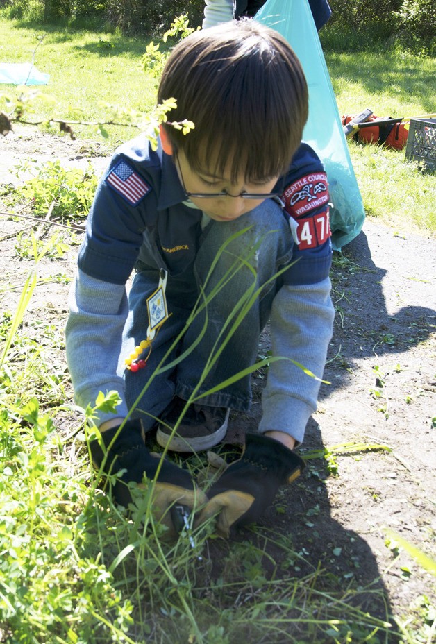 Scouts and other organizations traditionally do their part in the Clean Sweep effort each May.