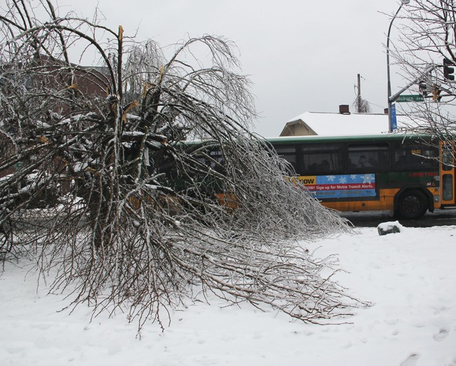 A Metro bus inches by an ice-encrusted