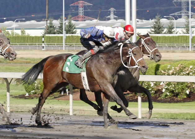 West Seattle Boy won his final start at Emerald Downs on Sept. 25