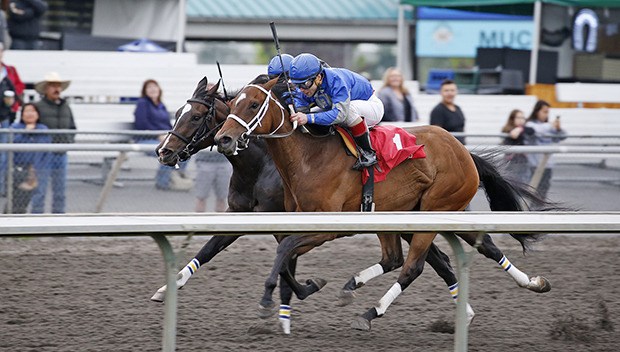 Guinevere's Finale (No. 1) edges Perhaps a Pie in the $16