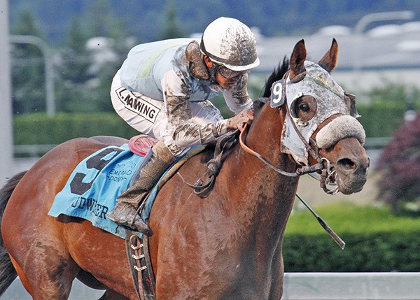 Stryker Phd and jockey Leslie Mawing win the Budweiser Handicap at Emerald Downs. The duo will attempt to capture the Longacres Mile this Sunday.