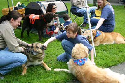 Families with dogs of all sizes and shapes are invited to participate in the Loyal Companions 4-H Club's ninth annual Dogs Walking 4 Dogs fundraising event.