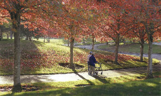 Mildred Loffer and Edna Edmundson enjoy a walk through Game Farm Park on a sunny fall afternoon.