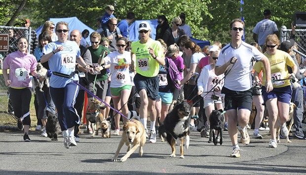 The popular Dog Trot 3K/5K Fun Run kicks off a full day of Petpalooza on May 18.
