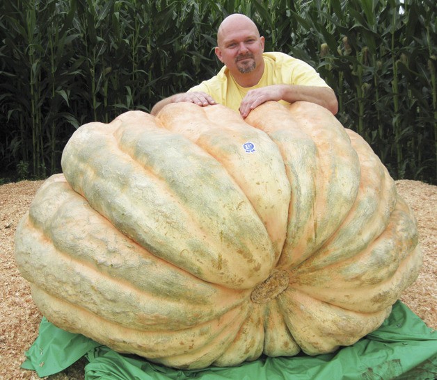 Auburn businessman Robin Halbert carefully grew a great pumpkin