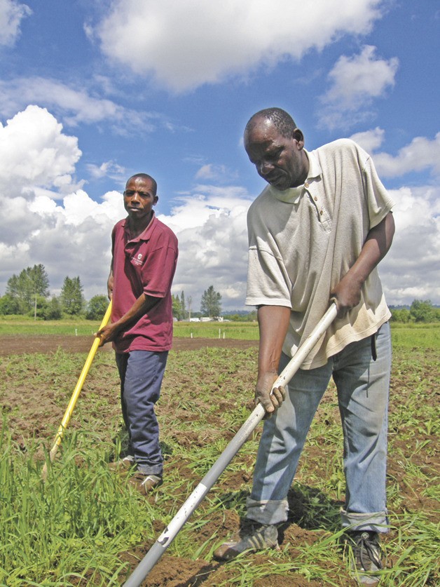 Burundi natives Augustine Ndayisenga and Dosio Baragenya found a few tools to help them turn the soil on the 10-acre Auburn farm leased for them.