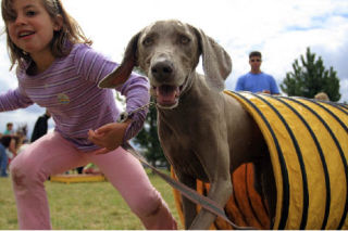 DogVenture Day at Auburn Valley YMCA | Photo