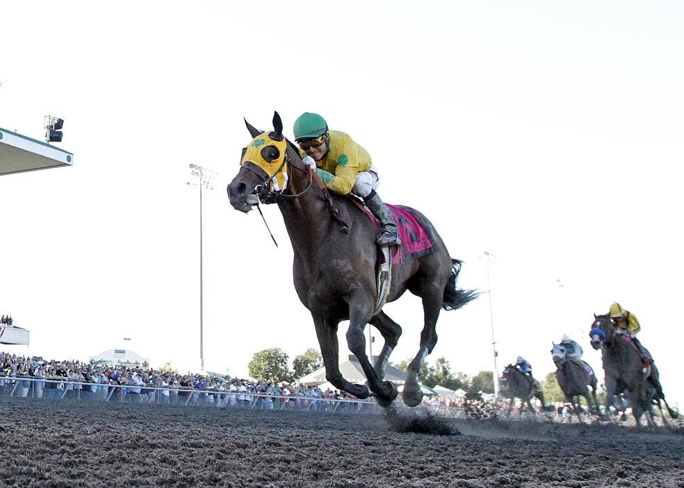 Point Piper wins the 2016 Longacres Mile Aug. 14 at Emerald Downs.Reed & Erin Palmer/Emerald Downs Photos