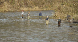 Avid anglers line the Green River at Flaming Geyser State Park to fish for chum salmon on a brisk fall afternoon this week.