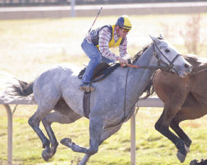 Venerable Emerald Downs jockey Gallyn Mitchell exercises Pete Afleet during a morning workout at the Auburn oval. Mitchell